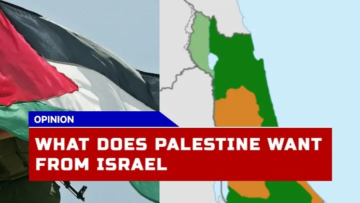 What Does Palestine Want From Israel? Understanding The Israel-Palestine Conflict