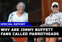 What Behind The Nickname ‘Parrothead? Why Jimmy Buffett Fans Carry This Unique Title